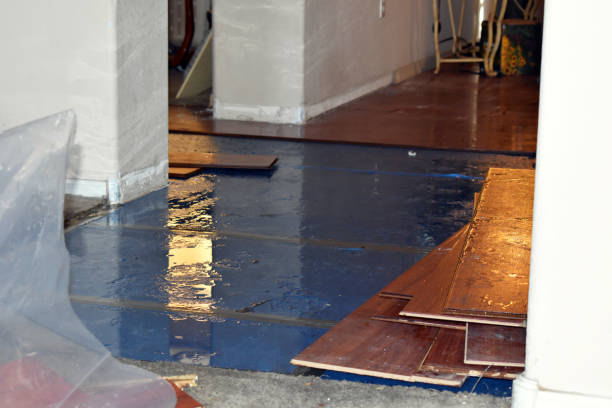 Professional Basement Flooding technician working in Holbrook, MA